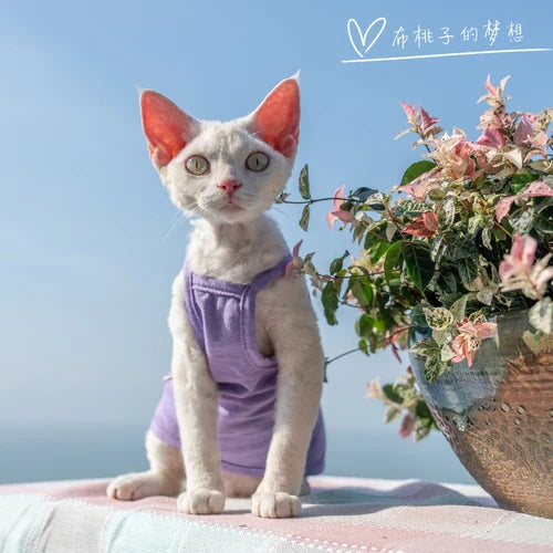 Vêtements pour chat, gilet pour chat, bretelles en coton multicolores, vêtements pour chat sans poils, gilet de protection du ventre avec climatisation Devon