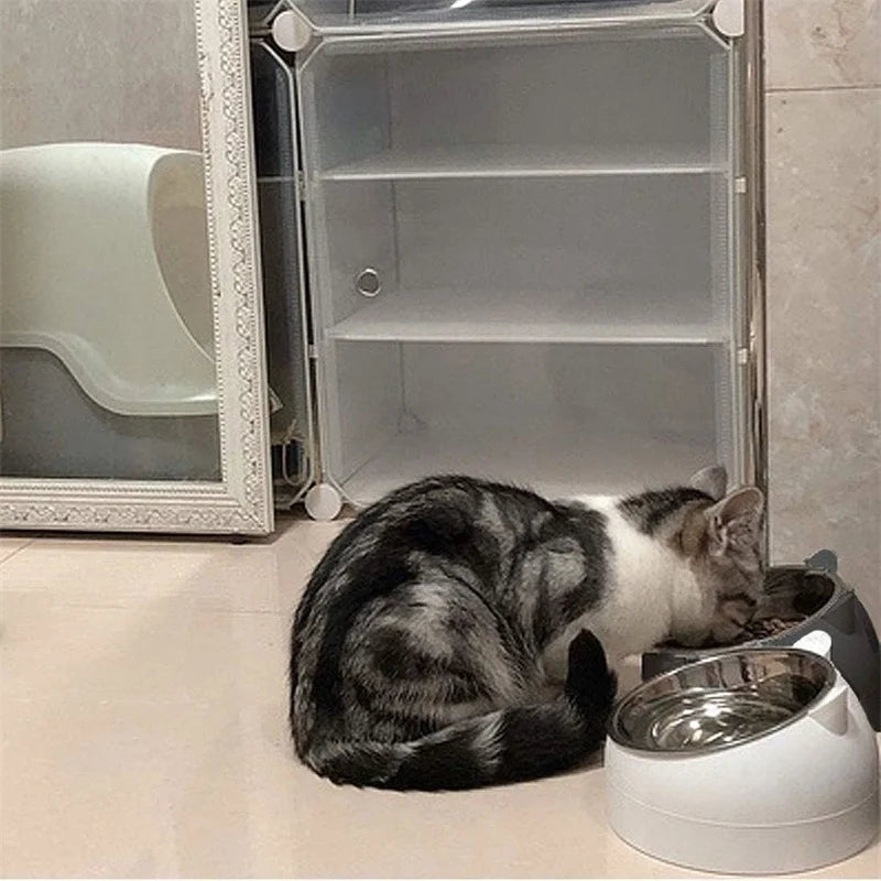 Pet Bowls Dog Food Water Feeder Stainless Steel Pet Drinking Dish Feeder Cat Puppy Feeding Supplies Small Dog Accessories