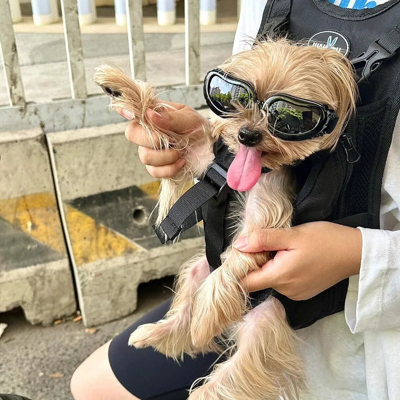 LETVIA Pet Supplies Fashionable Cats Dogs Sunglasses Windproof Dustproof Pet Goggles Outdoor Travel Uv-protective Glasses Summer