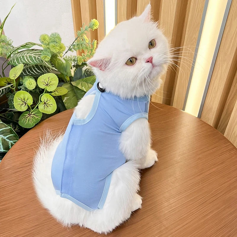 Combinaison de sevrage pour chat, vêtements de récupération anti-léchage après chirurgie, combinaison douce pour chiot et chaton, combinaison de soins pour chat, gilet pour animaux de compagnie