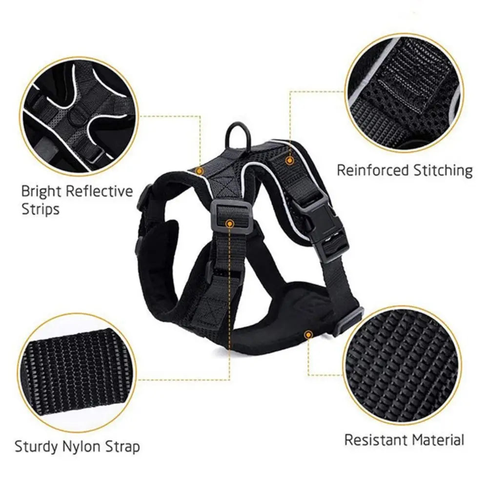 Cat Harness Leash Set - Escape Proof Adjustable Vest, Soft & Secure for Walking, Easy Control Pet Safety Gear