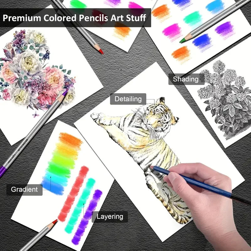Profesional de Arte, Set de Arte de 72 Piezas, Kit de Lápices de Dibujo y Boceto, Set de Herramientas de Lápices de Carbón para Artistas