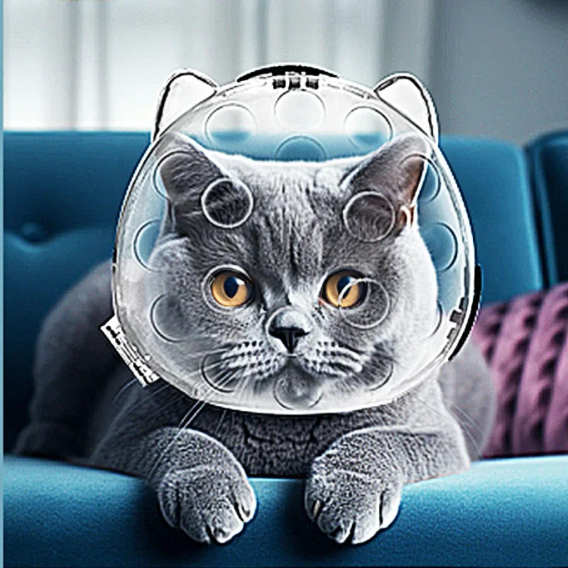 Cat Head Cover Portable Transparent Prevent Biting and Scratching Breathable Safety Travel Cat Carrier Bag Cats Pet Products