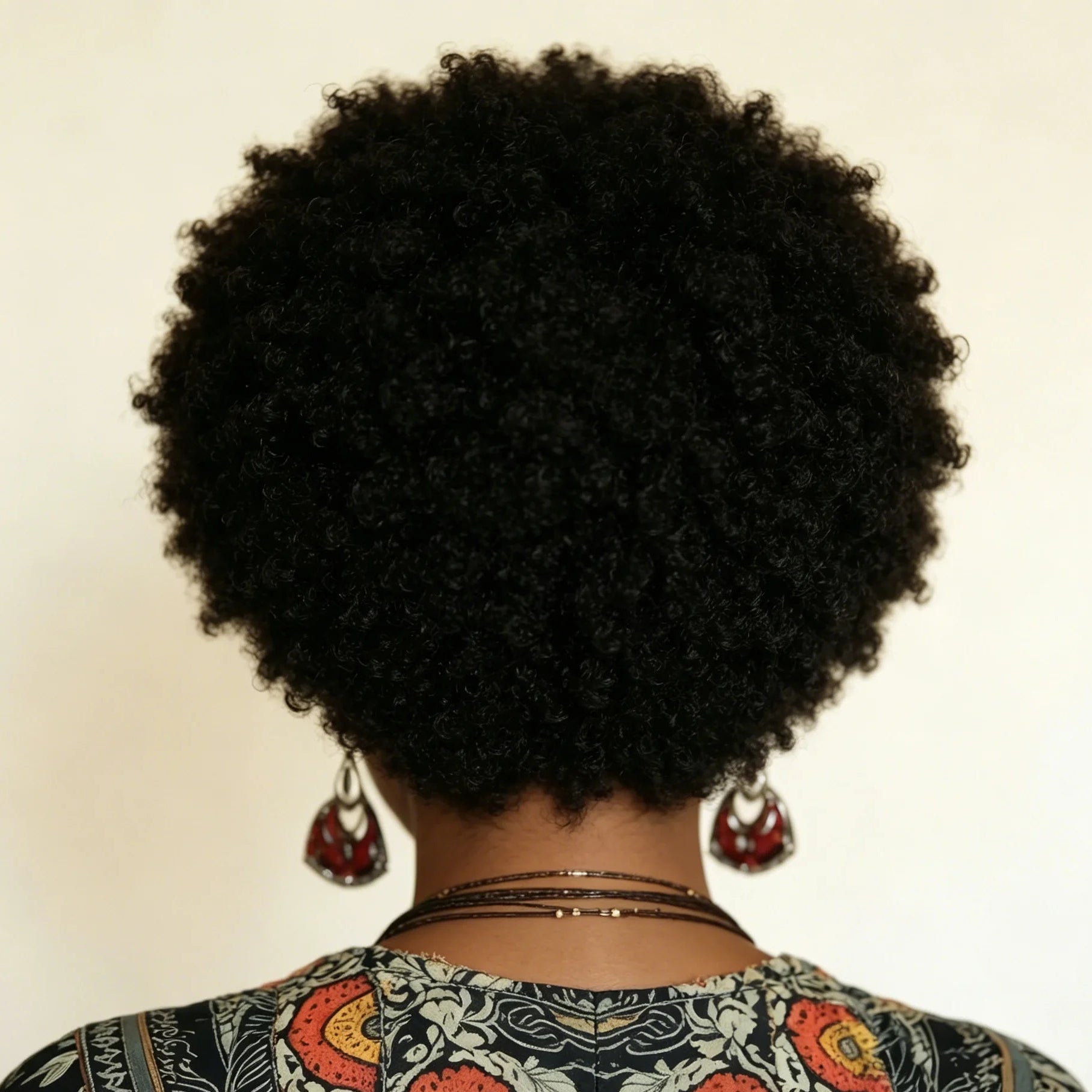 Afro Curly Human Hair Wig