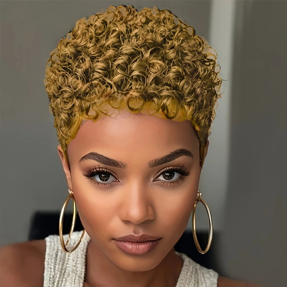 Kinky Curly Pixie Cut Wig