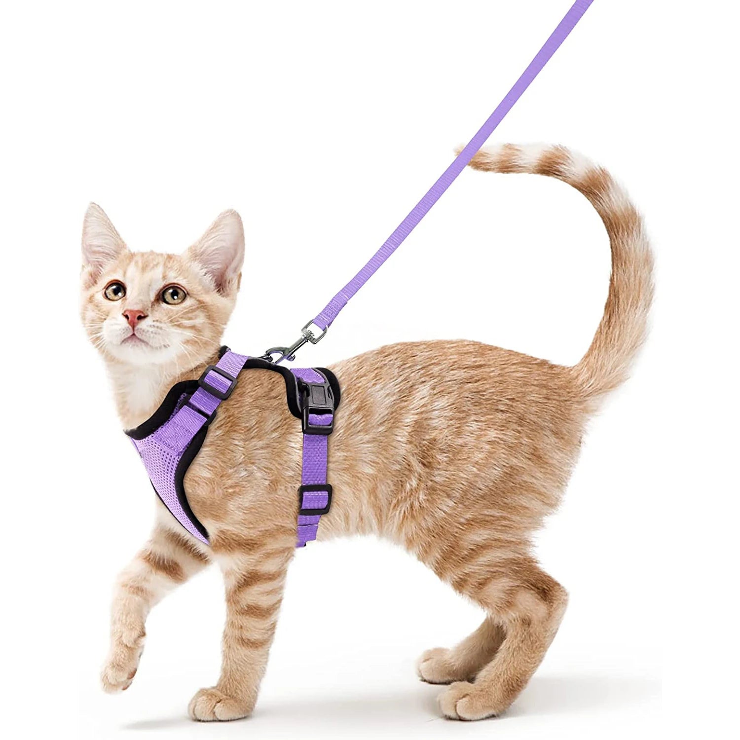 Harnais et laisse pour chat pour la promenade, harnais gilet souple et réglable anti-fuite pour chats, EasyControl