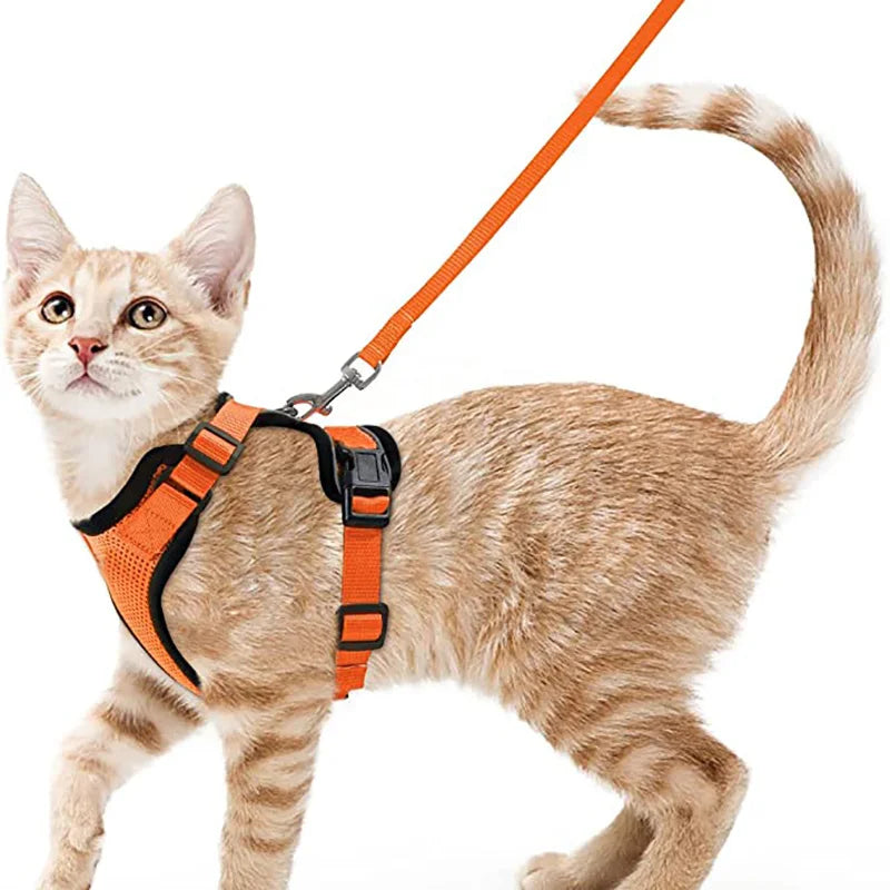 Harnais et laisse pour chat pour la promenade, harnais gilet souple et réglable anti-fuite pour chats, EasyControl
