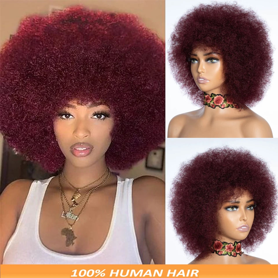 Afro Wig For Women Short Afro Kinky Curly Bob Glueless Wigs Human Hair Natural Looking 12 Inch Afro Wigs With Bangs Short Bouncy