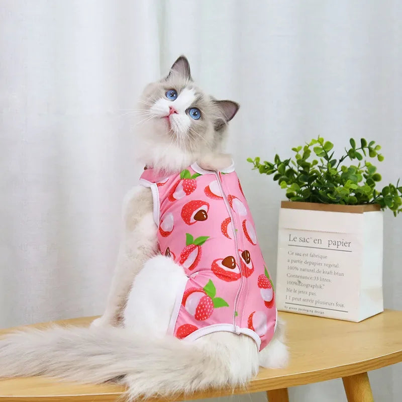 Vêtements de rééducation chirurgicale en coton pour animaux de compagnie, vêtements postopératoires pour chats, combinaison de protection pour la récupération des chats, gilet pour chaton, accessoires pour chats
