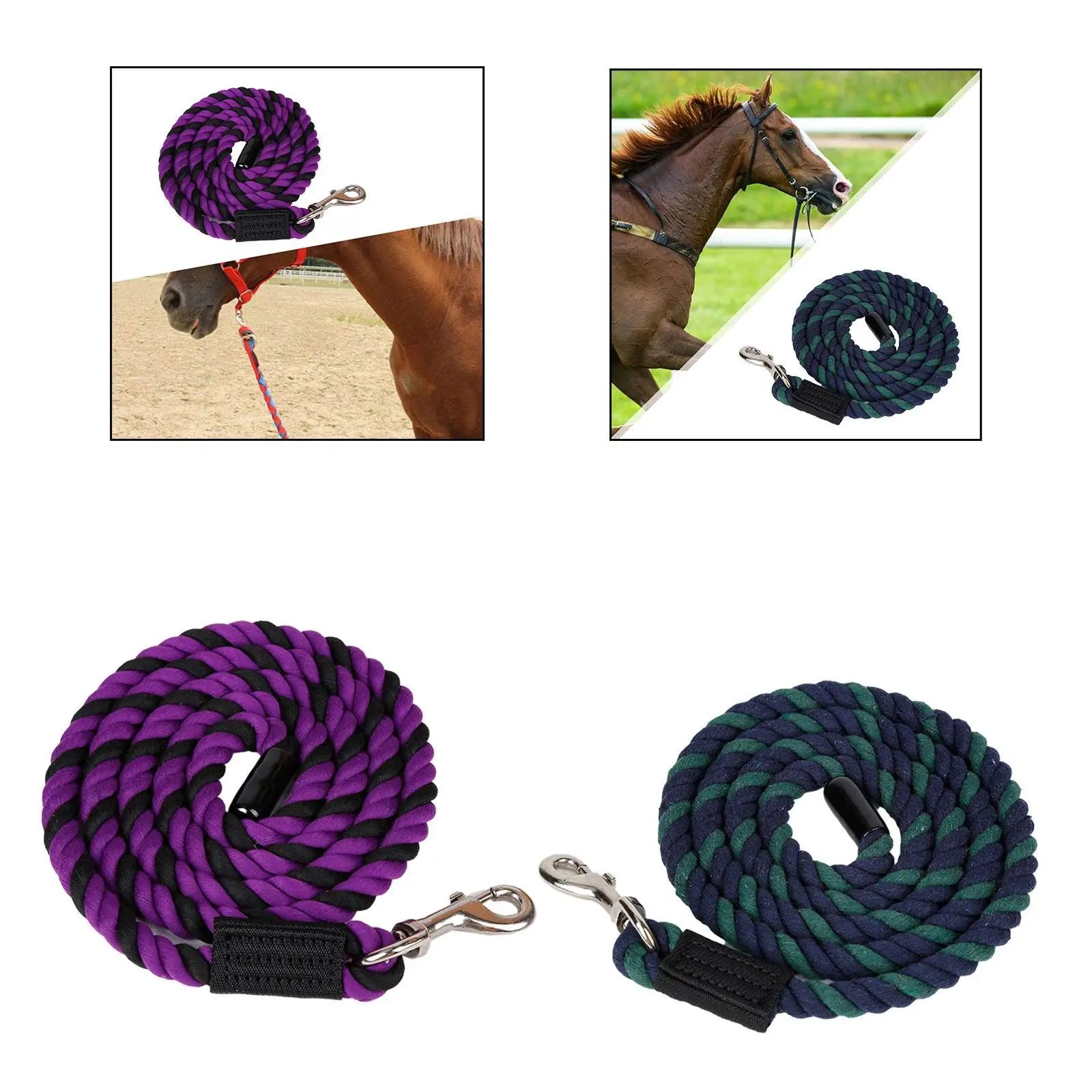 Longe pour cheval, licol, rêne, corde, corde, laisse pour chien, mouton, animal de compagnie, robuste, avec mousqueton pivotant, équipement équestre