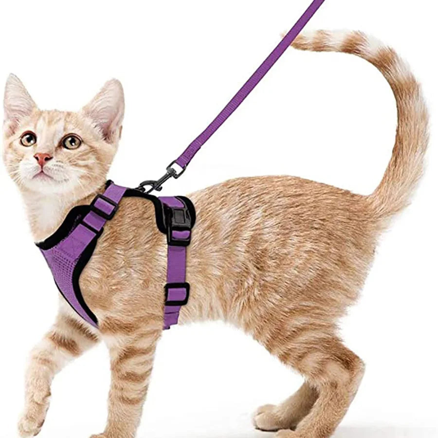 Harnais et laisse pour chat pour la promenade, harnais gilet souple et réglable anti-fuite pour chats, EasyControl