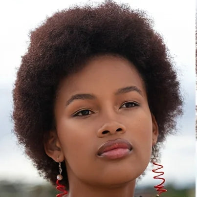 Fluffy Afro Wig