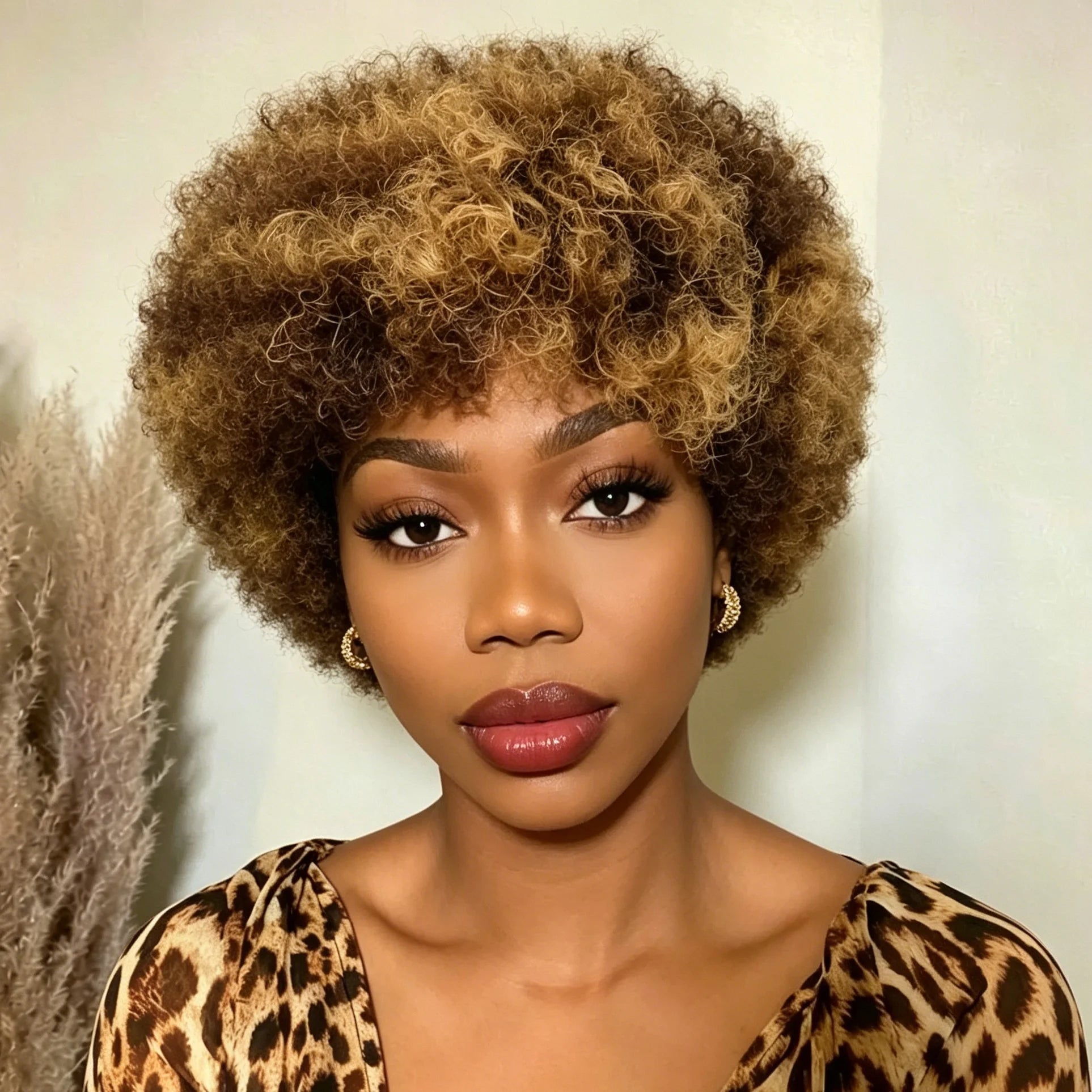 Afro Curly Human Hair Wig