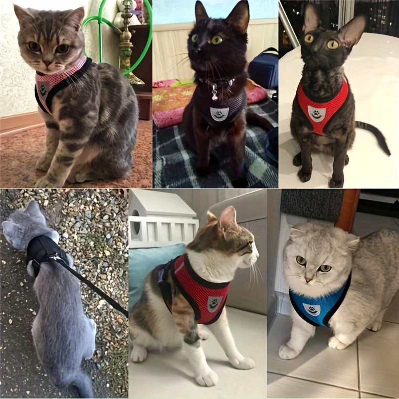 Arnés Ajustable para Gatos, Malla Transpirable Antiescape con Chaleco Reflectante y Correa de 1.5 m - Seguro, Duradero para Aventuras al Aire Libre