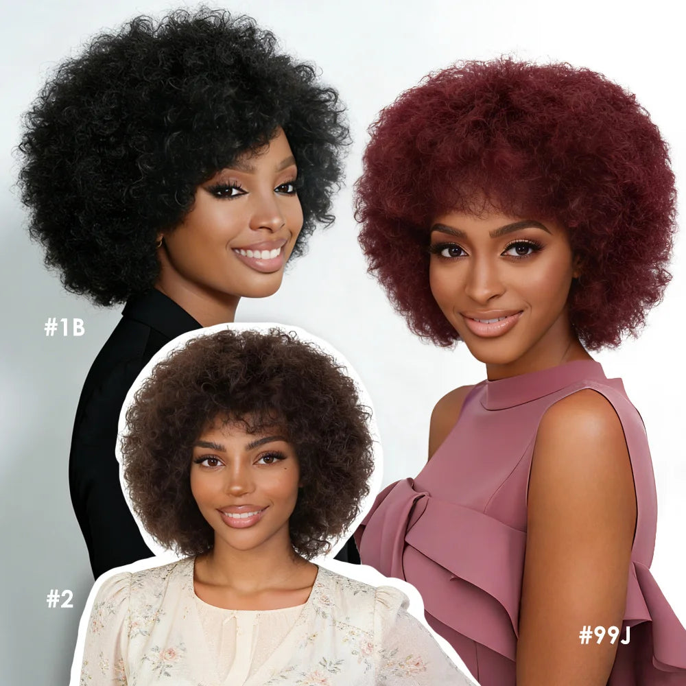 Afro Wig For Women Short Afro Kinky Curly Bob Glueless Wigs Human Hair Natural Looking 12 Inch Afro Wigs With Bangs Short Bouncy