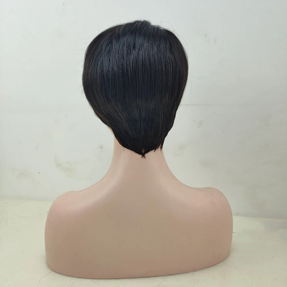 Perruque courte et lisse en cheveux synthétiques HAIRJOY ​​pour femmes afro-américaines