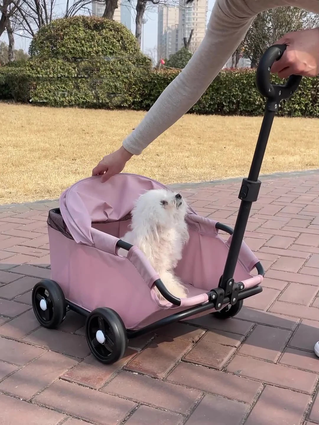 Pet Dogs Cats Strollers for Outgoing Car Travel Accessories Lightweight and Foldable Carriers Bags Pet Products Supplies