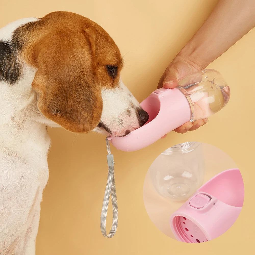 Bouteille d'eau portable pour chien
