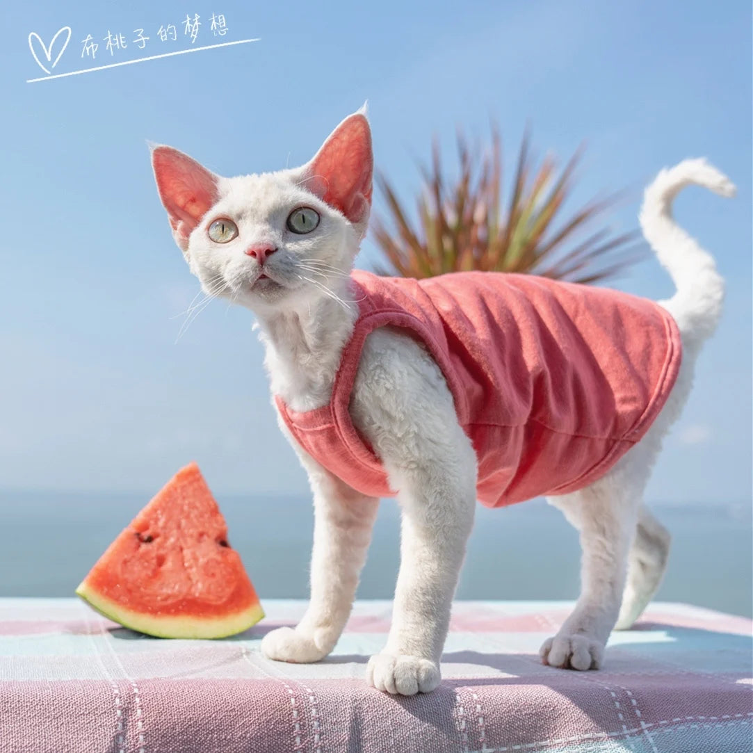 Vêtements pour chat, gilet pour chat, bretelles en coton multicolores, vêtements pour chat sans poils, gilet de protection du ventre avec climatisation Devon
