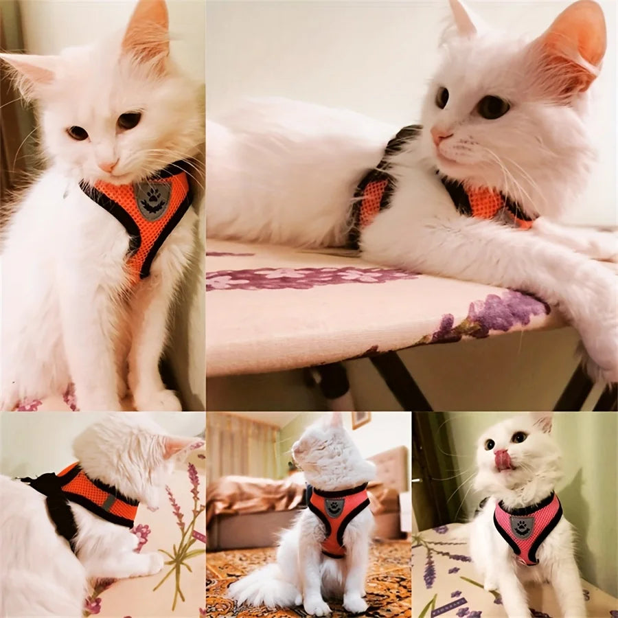 Arnés Ajustable para Gatos, Malla Transpirable Antiescape con Chaleco Reflectante y Correa de 1.5 m - Seguro, Duradero para Aventuras al Aire Libre