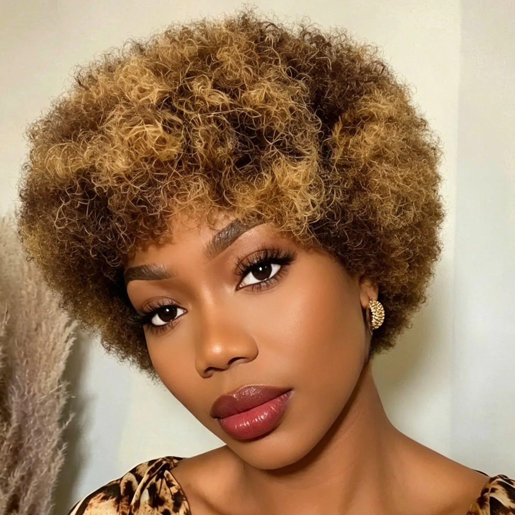 Afro Curly Human Hair Wig