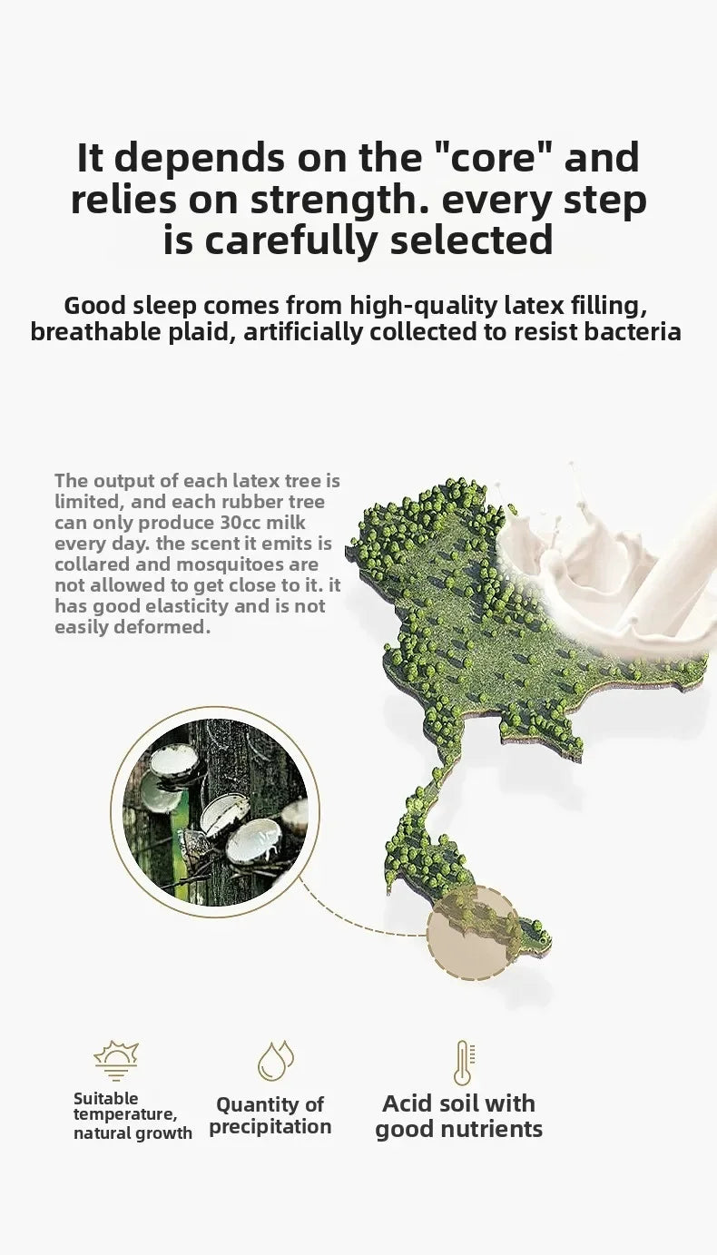 Cooling Bed Sheet Set with Pillowcases Ice Silk & Latex Quilted Breathable Cover Solid Summer Bedding Comfort & Heat Resistance