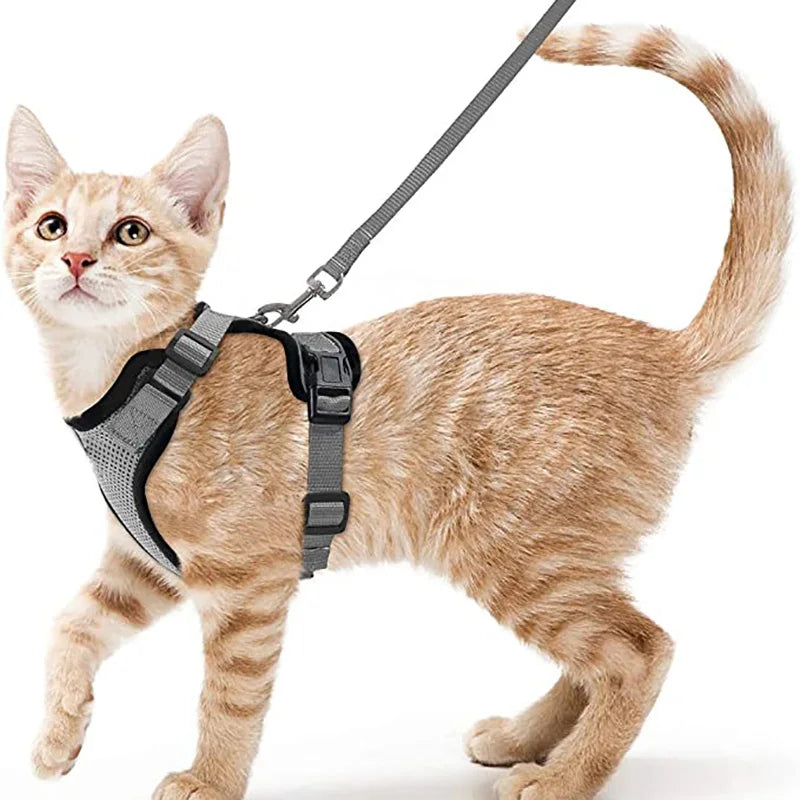 Harnais et laisse pour chat pour la promenade, harnais gilet souple et réglable anti-fuite pour chats, EasyControl