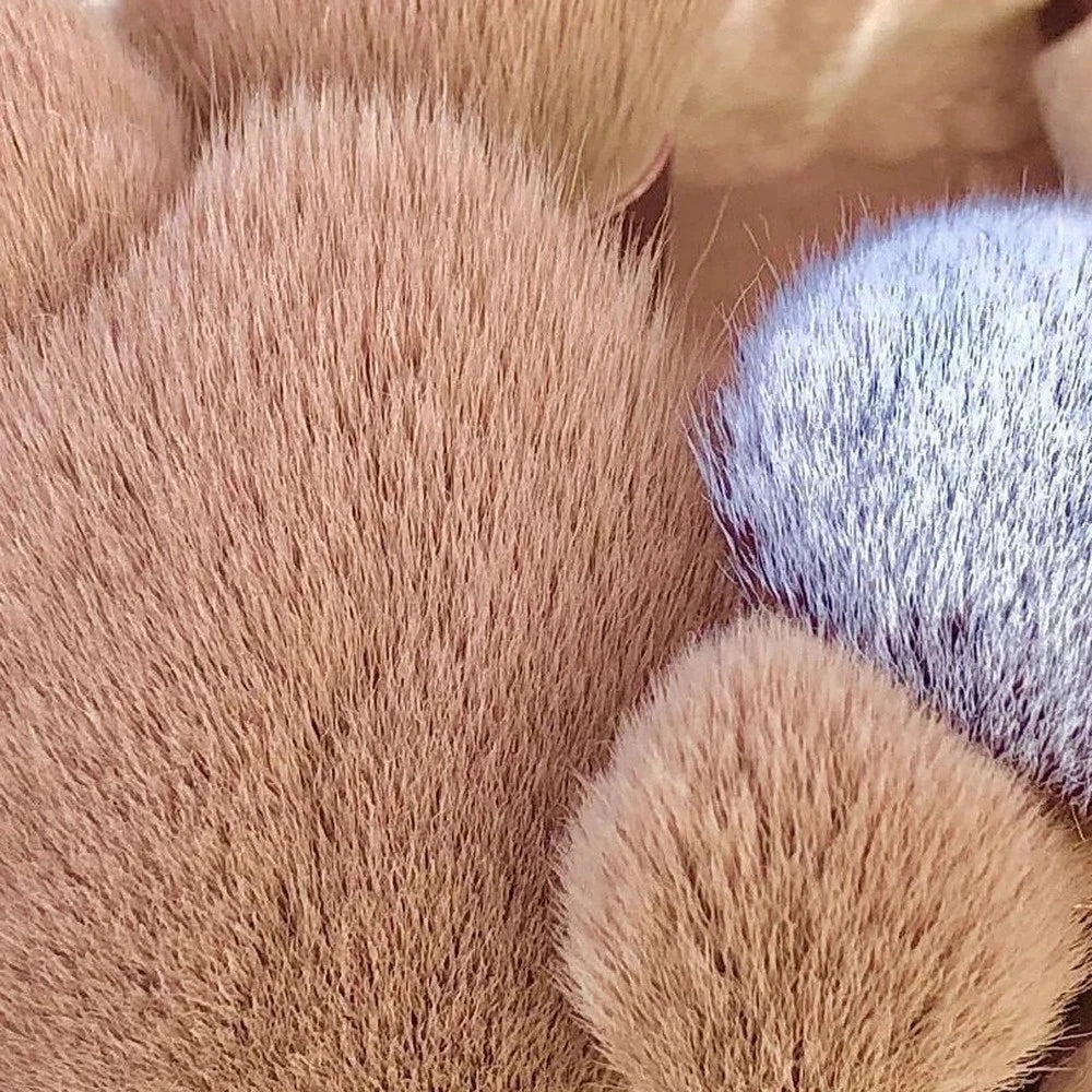 13PCS Soft Makeup Brush Set