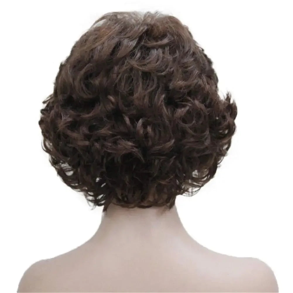 Slivery Grey Short Curly Wavy Wig 100% Imported Premium Synthetic Fashion Brown Hair Wigs for Women