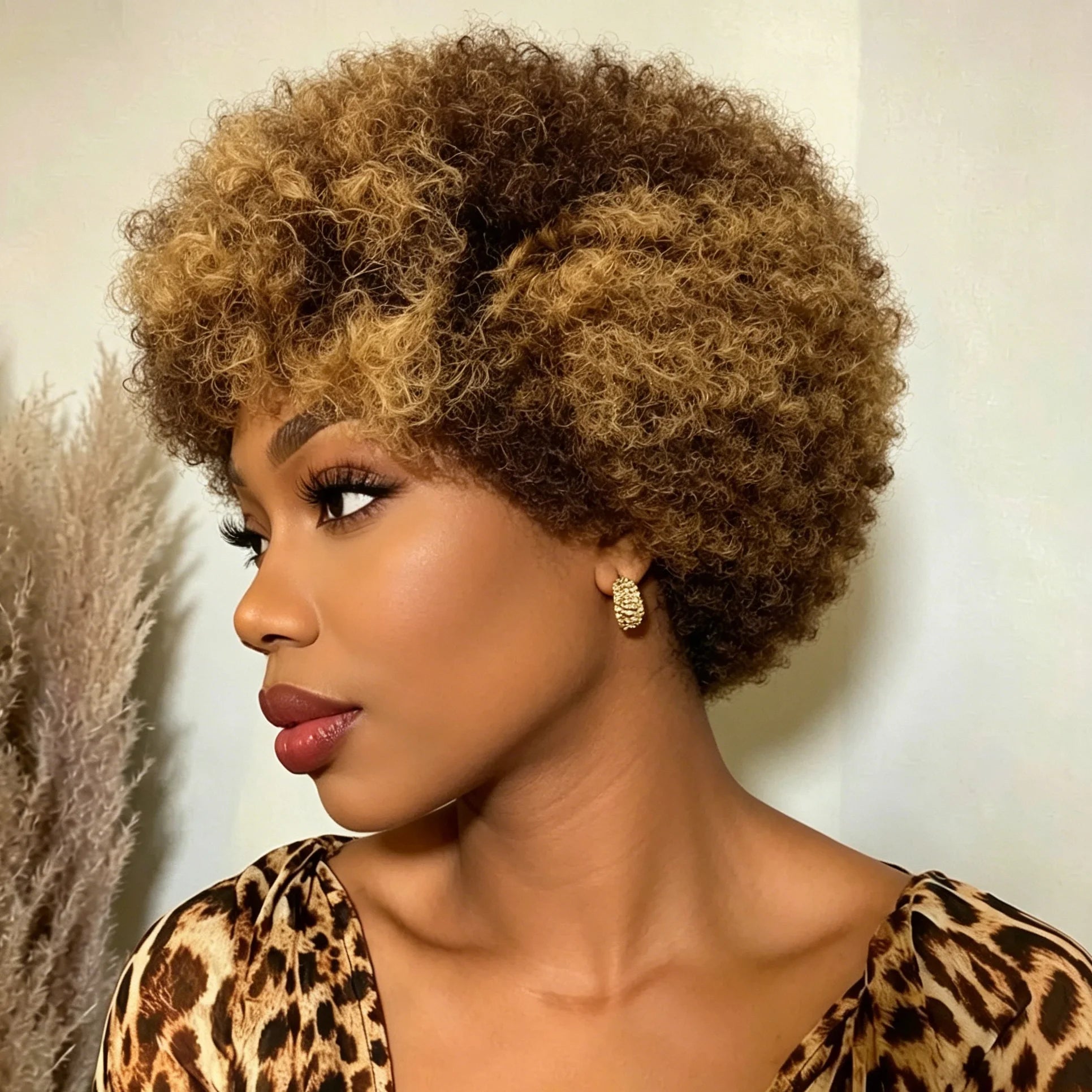 Afro Curly Human Hair Wig