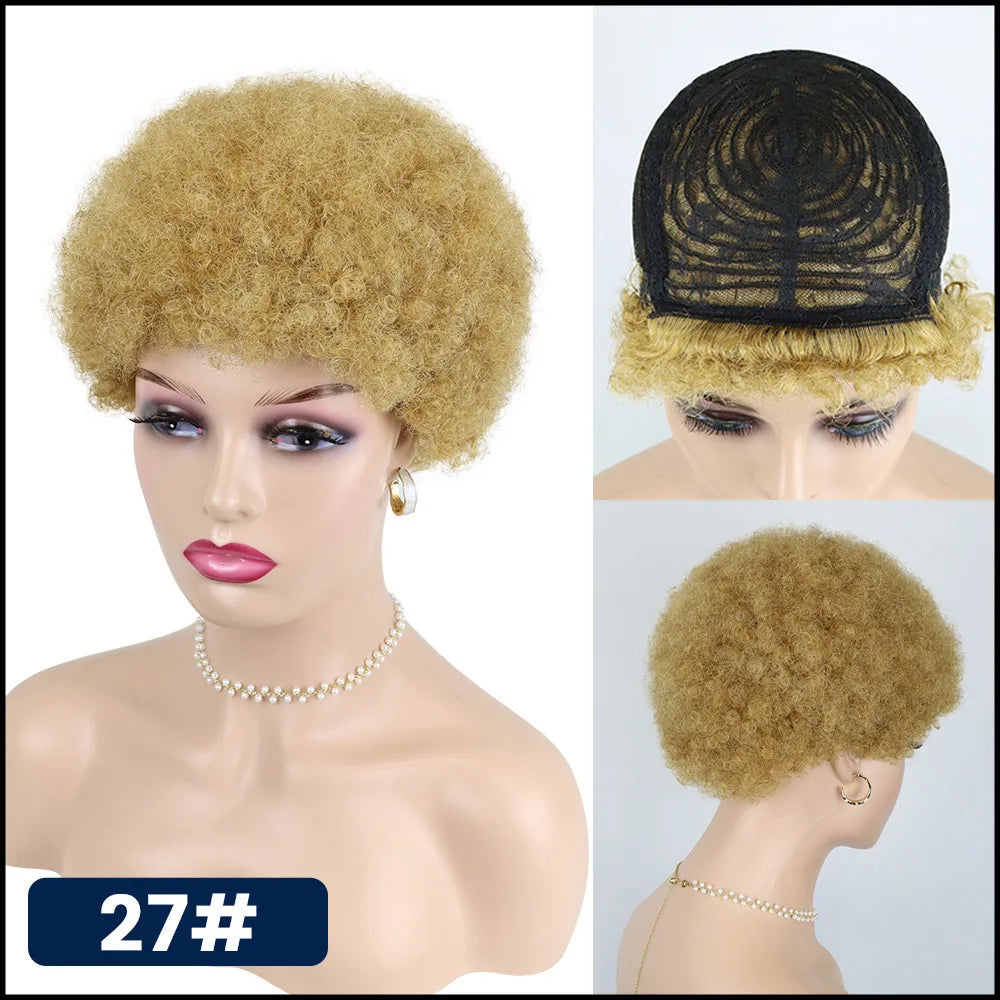 Medium Brown Afro Kinky Curly Wigs for Black Women 30# Kinky Curly Human Hair Afro Wigs African American Machine Made Pixie Wig