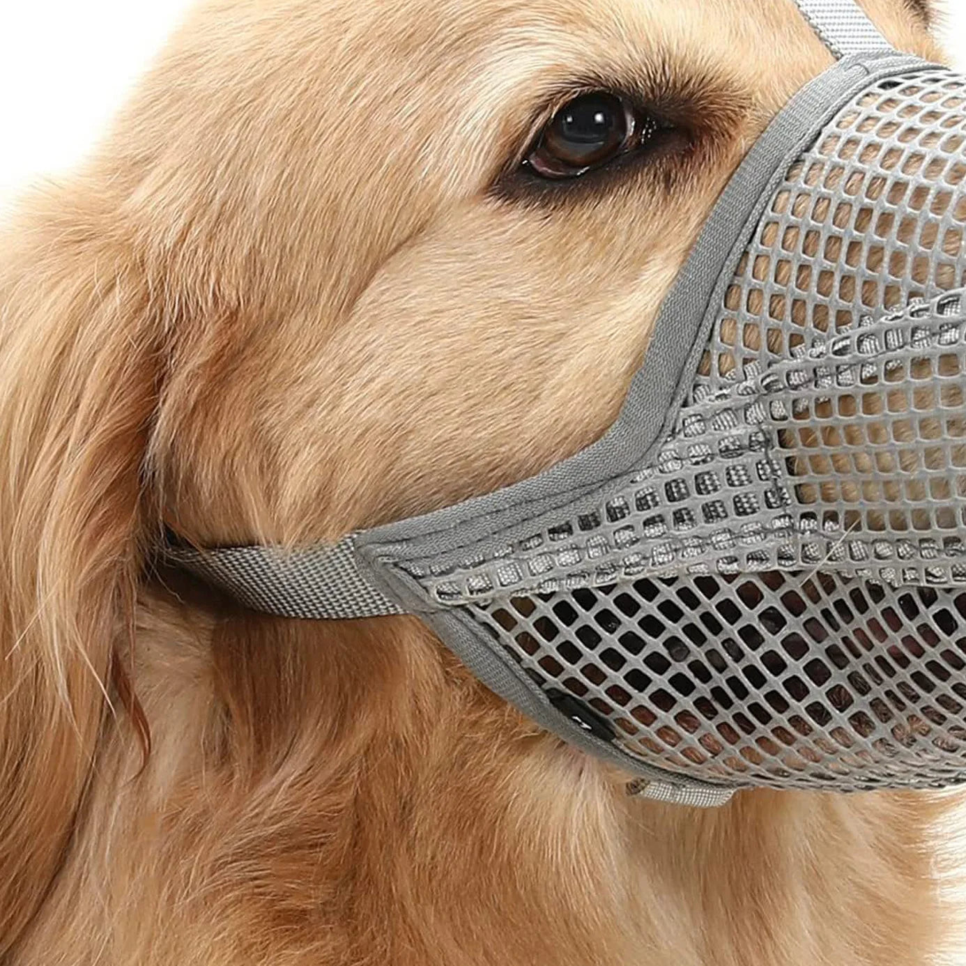 Bozales para perros, ajustables y transpirables, cubrebocas para perros, antiladridos, antimordeduras, de malla, para perros de hocico largo