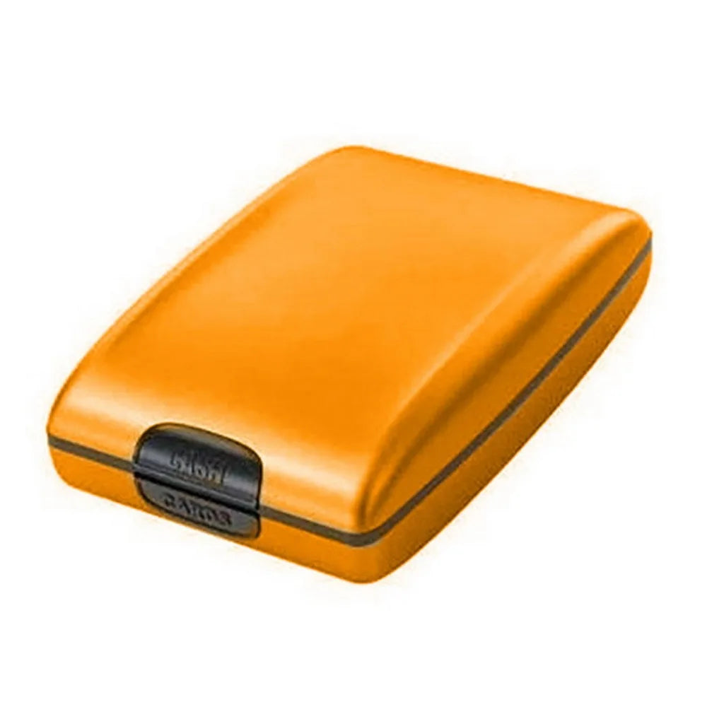 Large Capacity Credit Cards Holder Card Case Anti-Theft RFID Blocking Wallet Dust-proof Lightweight Airplane Ticket Protector