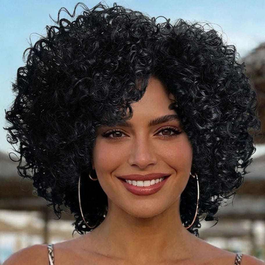 Kinky Curly Afro Wig