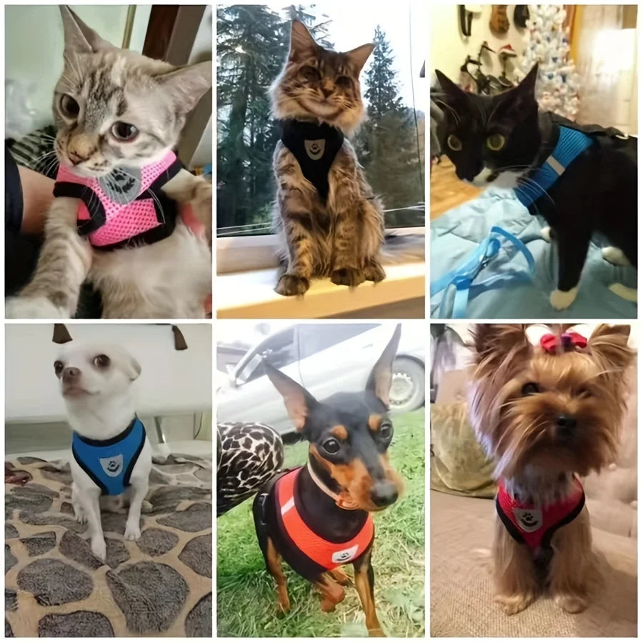 Arnés Ajustable para Gatos, Malla Transpirable Antiescape con Chaleco Reflectante y Correa de 1.5 m - Seguro, Duradero para Aventuras al Aire Libre