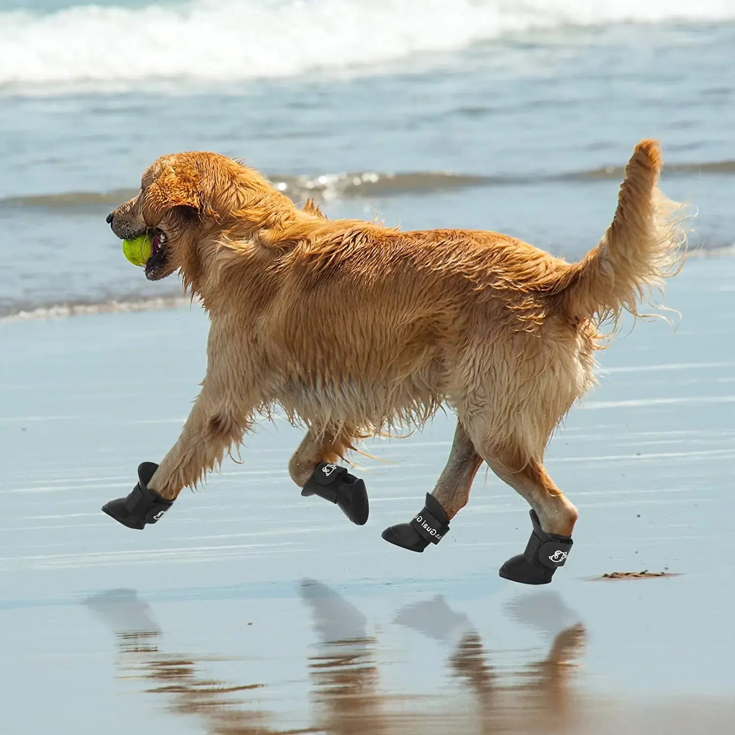 Pet Dog Rainshoes Waterproof Silicone Dog Shoes Anti-skid Boots For Small Medium Large Dogs Cats Rainy Days Appear Pet Supplies