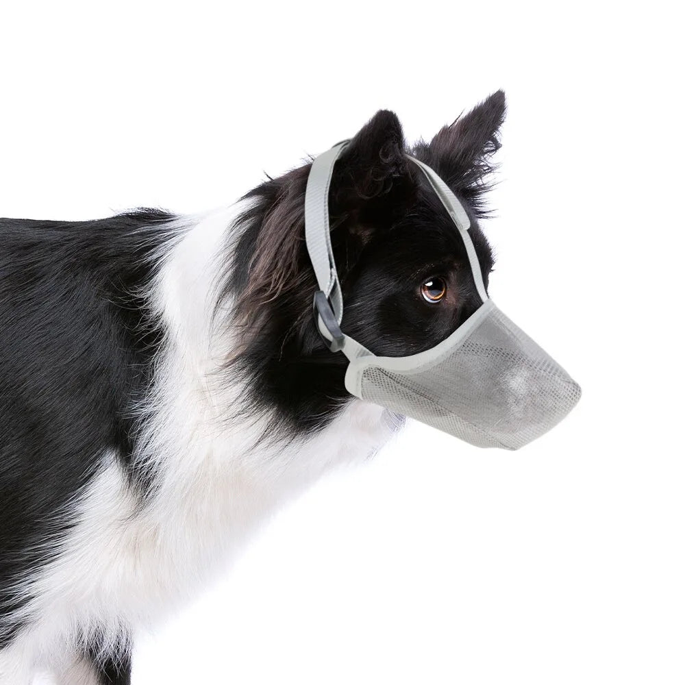 Bozales para perros, ajustables y transpirables, cubrebocas para perros, antiladridos, antimordeduras, de malla, para perros de hocico largo