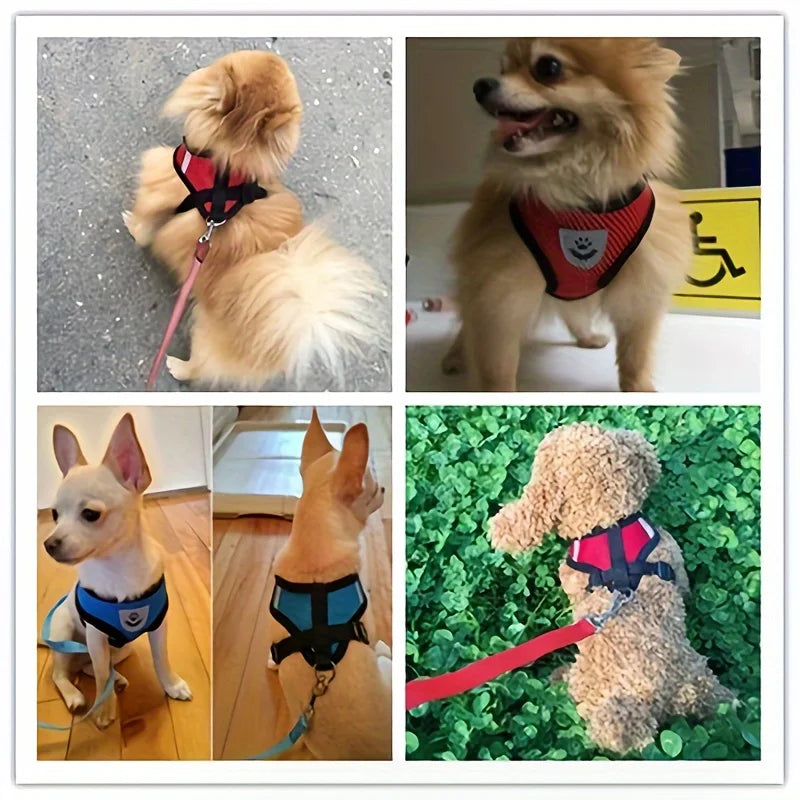 Arnés Ajustable para Gatos, Malla Transpirable Antiescape con Chaleco Reflectante y Correa de 1.5 m - Seguro, Duradero para Aventuras al Aire Libre