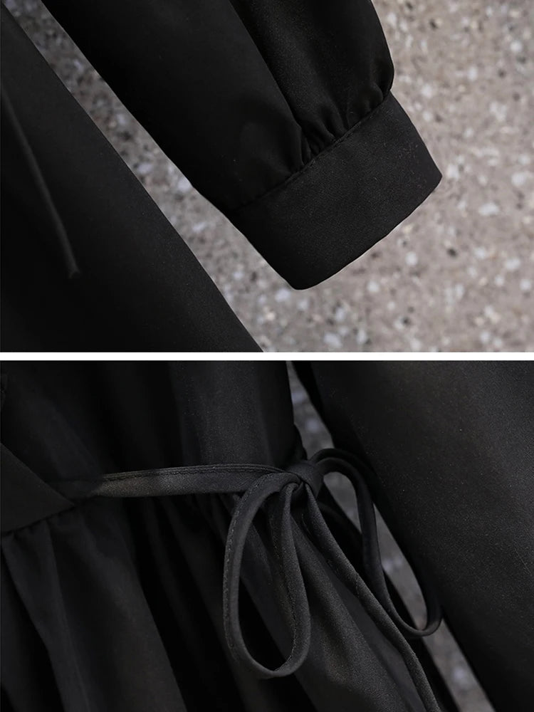 Plus Size Dresses Women Autumn New Arrivals Long Puff Sleeve Black V Neck A Line Dress Large Size Women Clothing Dress