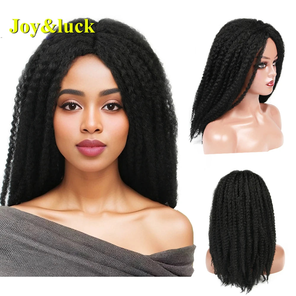 Long Braided Synthetic Medium Afro Curly Black Wig Role Play or Daily Use Hairstyles