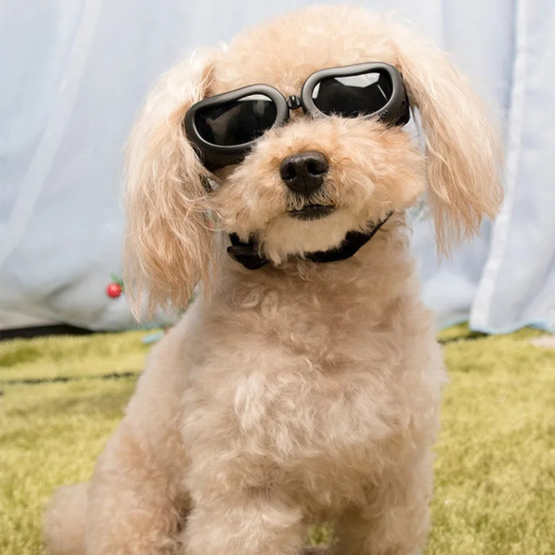LETVIA Pet Supplies Fashionable Cats Dogs Sunglasses Windproof Dustproof Pet Goggles Outdoor Travel Uv-protective Glasses Summer