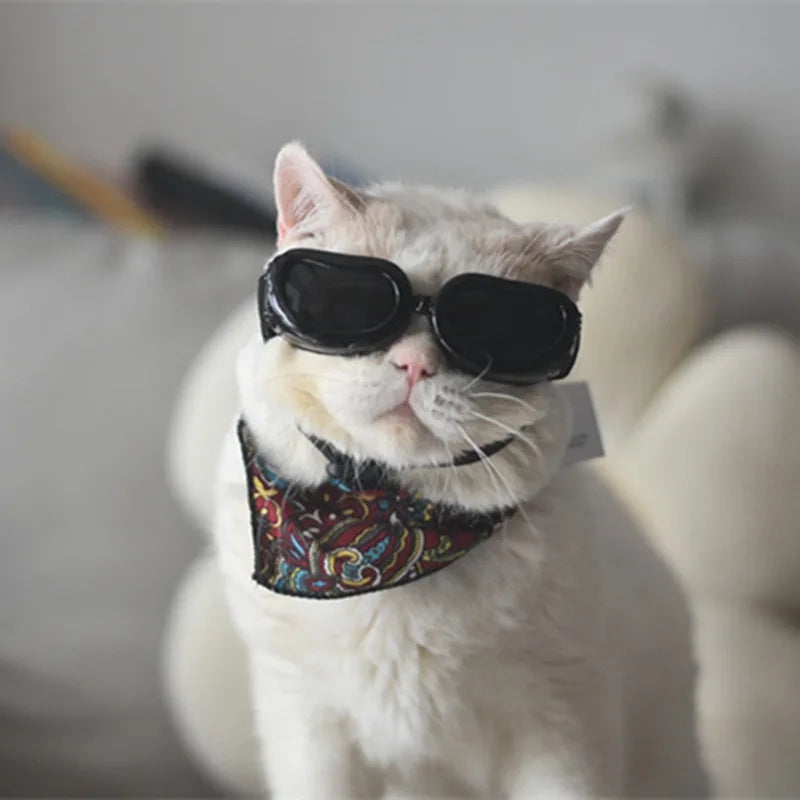 LETVIA Pet Supplies Fashionable Cats Dogs Sunglasses Windproof Dustproof Pet Goggles Outdoor Travel Uv-protective Glasses Summer