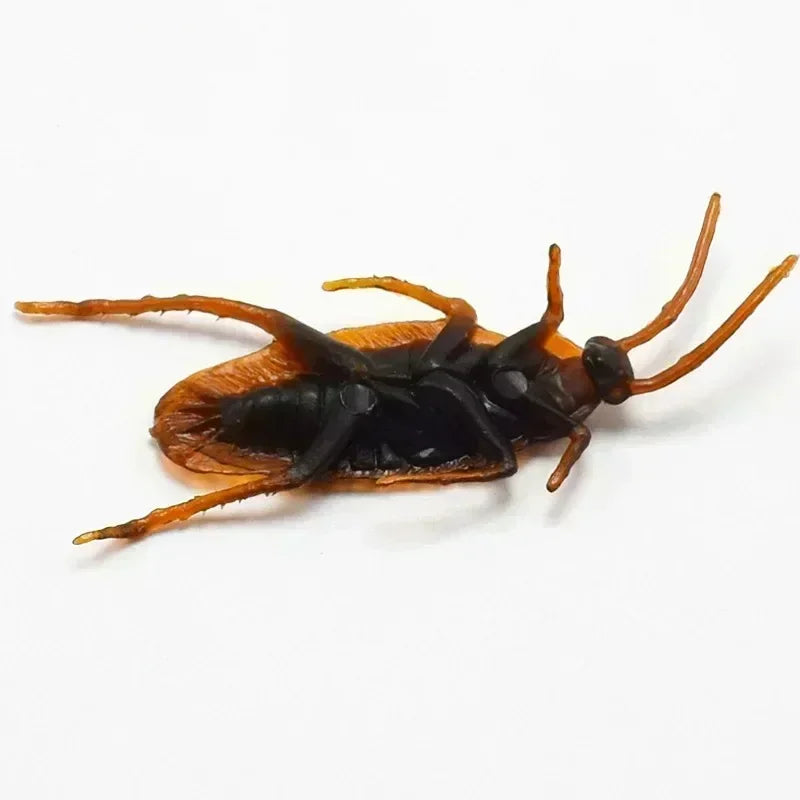 10 piezas Cucaracha Falsa Divertida Decoración de Fiesta de Halloween Utilería de Broma Cucaracha Artificial Suministros de Fiesta Favor de Niños Decoración de Fiesta