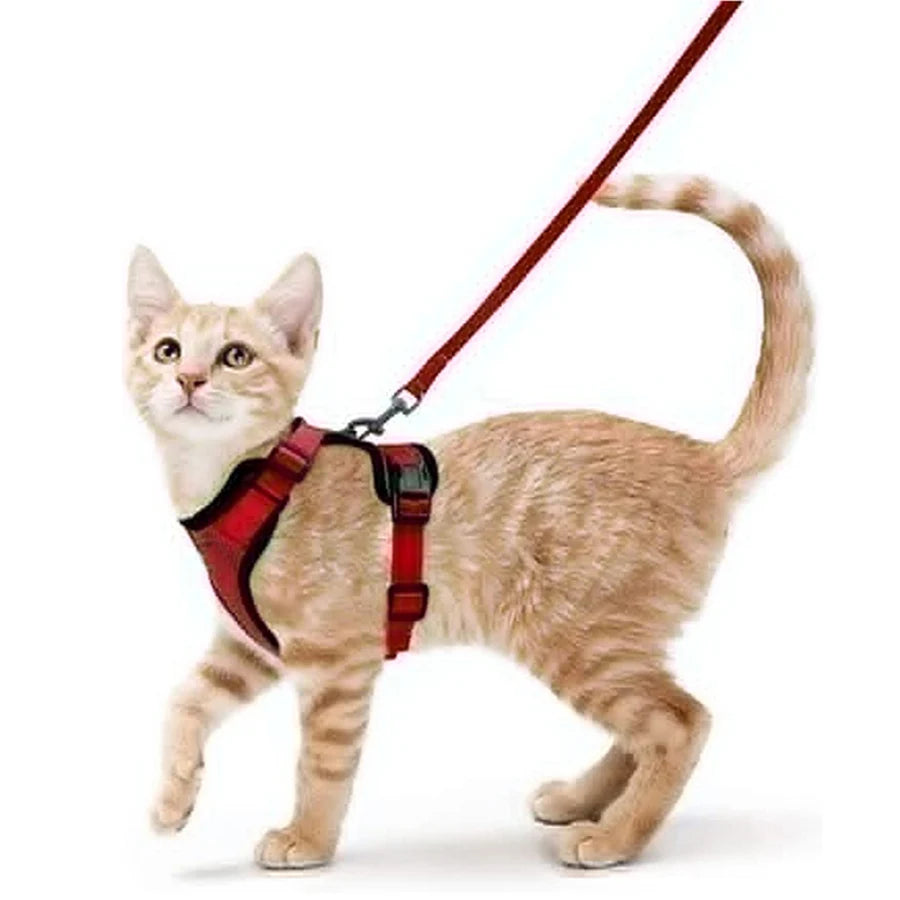 Harnais et laisse pour chat pour la promenade, harnais gilet souple et réglable anti-fuite pour chats, EasyControl