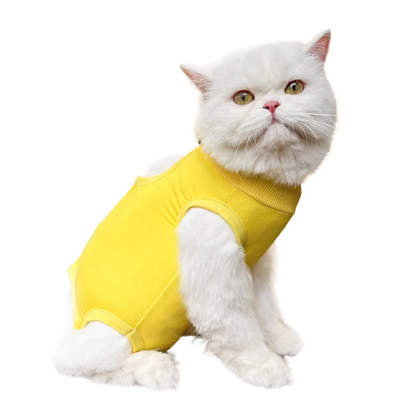 Combinaison de sevrage pour chat, vêtements de récupération anti-léchage après chirurgie, combinaison douce pour chiot et chaton, combinaison de soins pour chat, gilet pour animaux de compagnie