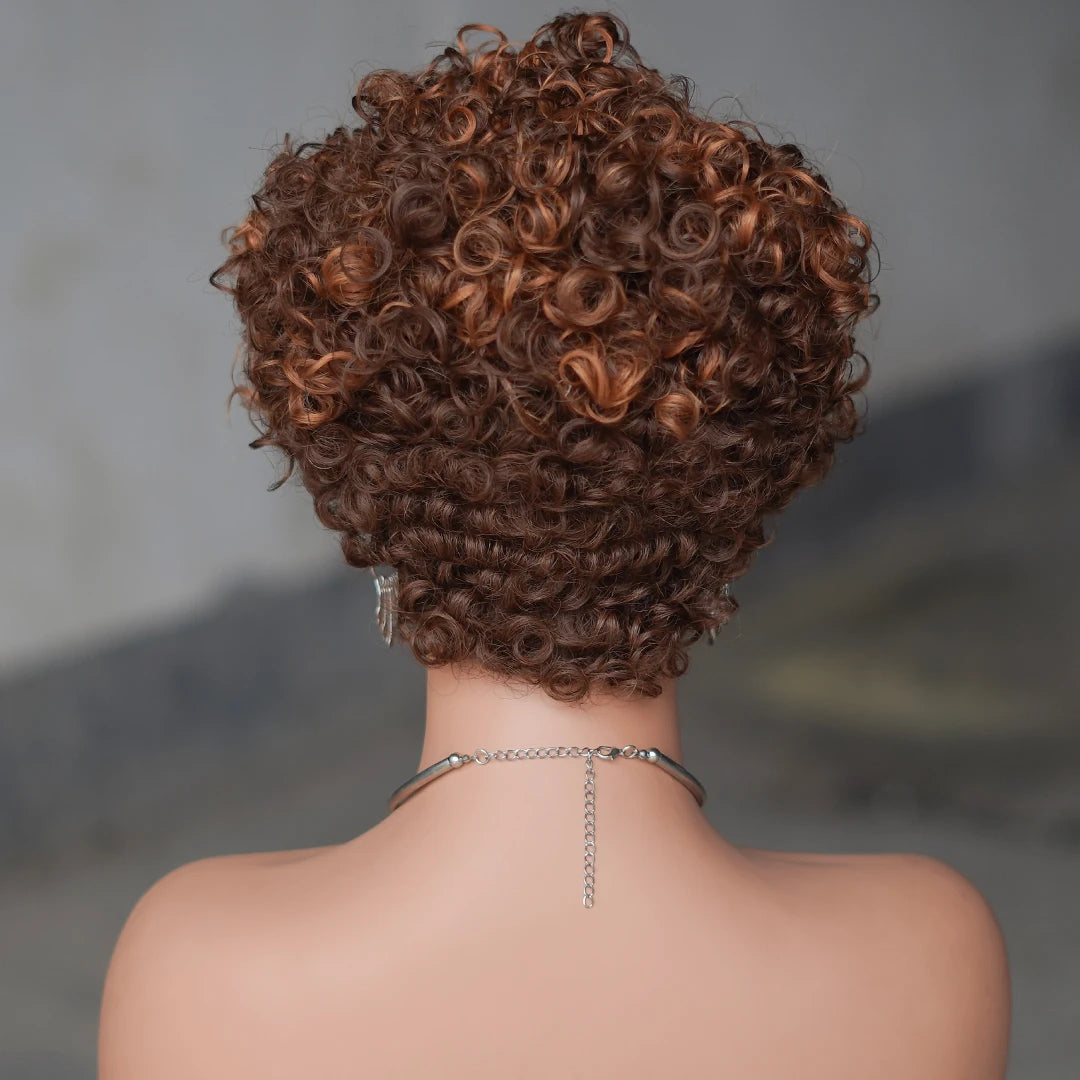 Short Curly Human Hair Wig
