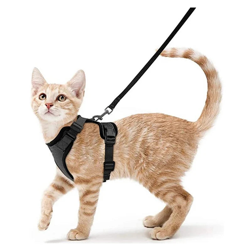Harnais et laisse pour chat pour la promenade, harnais gilet souple et réglable anti-fuite pour chats, EasyControl