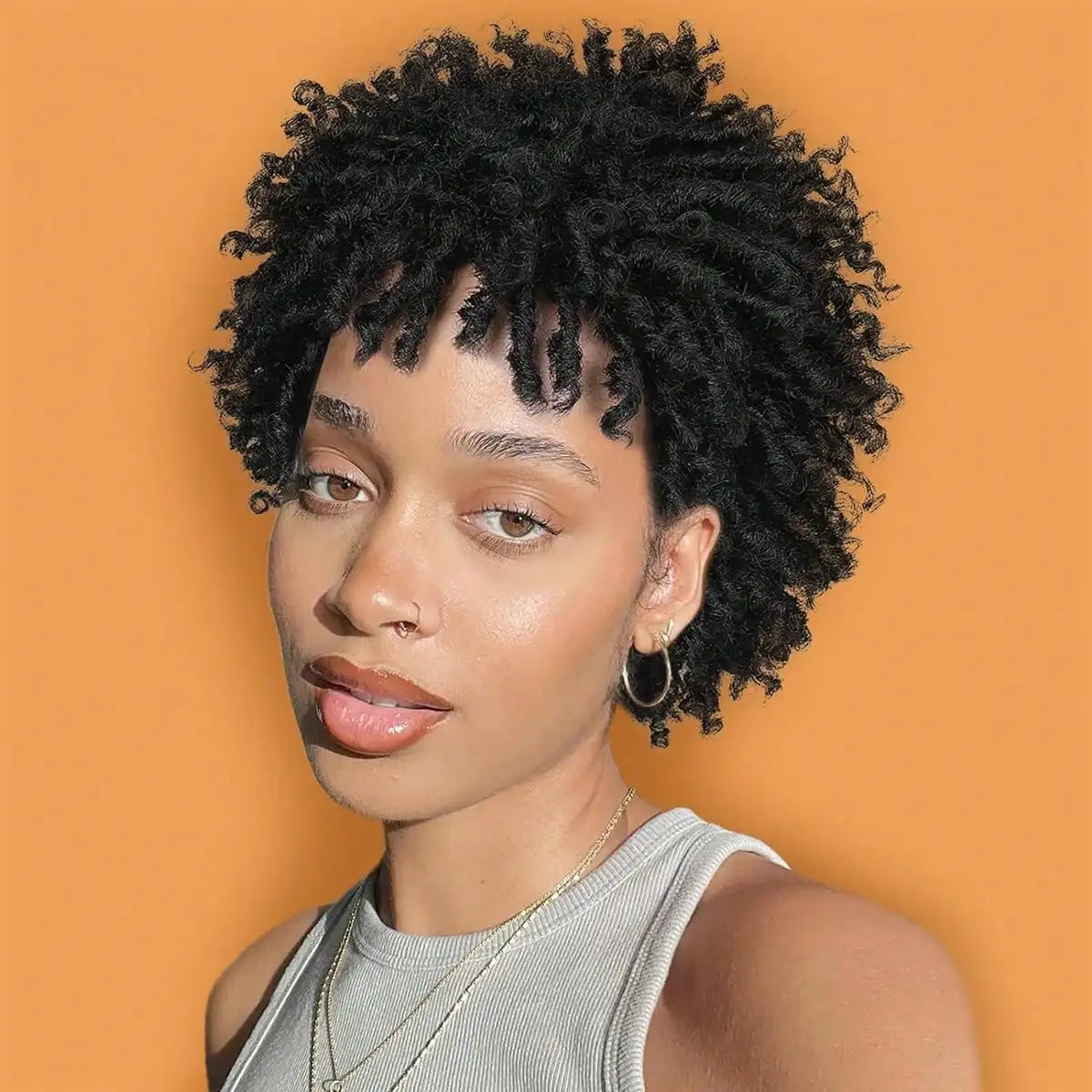 Short synthetic Wig for Black Women and Men Afro Faux Dreads Wig Heat Resistant Short Braided Wigs for Black Women