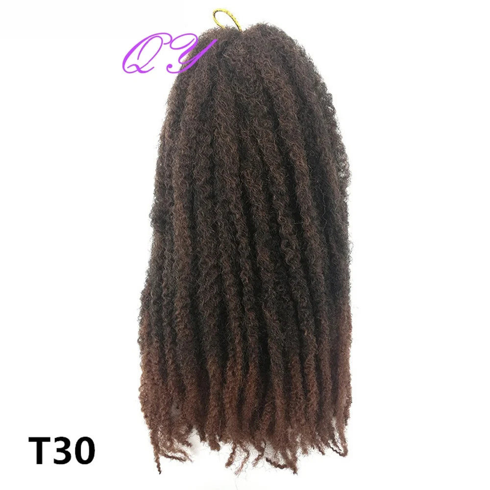 2 pcs Marley Twists Hair Braiding hair synthetic afro kinky Crochet  Braiding Hair Extensions for women
