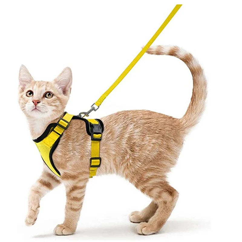 Harnais et laisse pour chat pour la promenade, harnais gilet souple et réglable anti-fuite pour chats, EasyControl